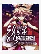龙珠之绫叶传奇