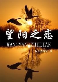 望陽之戀/魔法師攻掠記